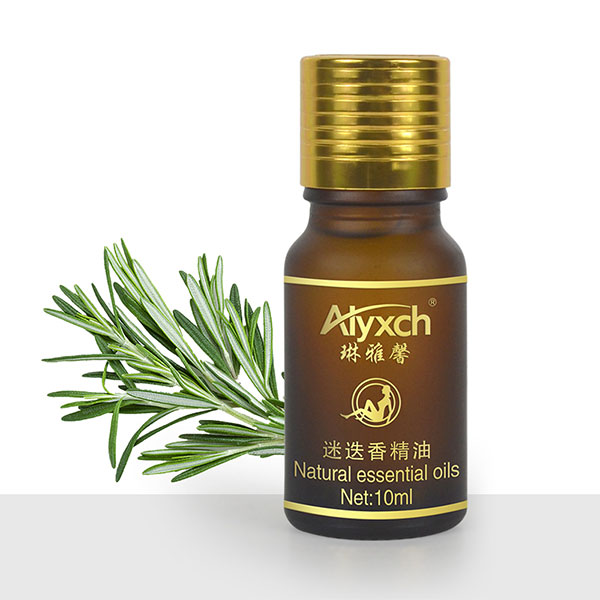 精油能量|常闻迷迭香,常保汝年轻 精油能量|常闻迷迭香,常保汝年轻